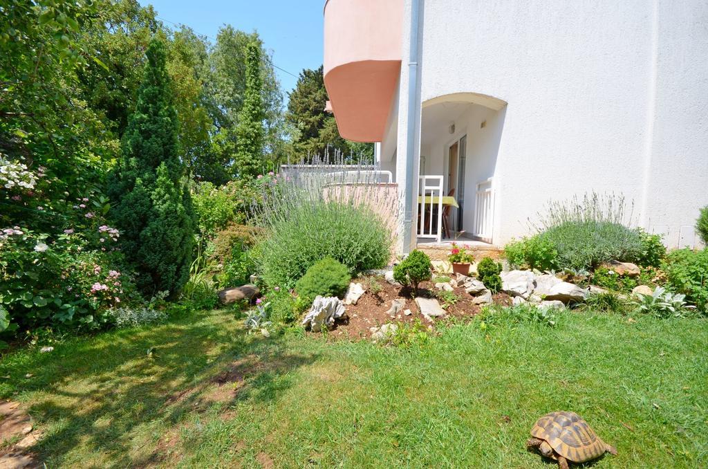 Apartments Snjezana Novi Vinodolski Exterior photo